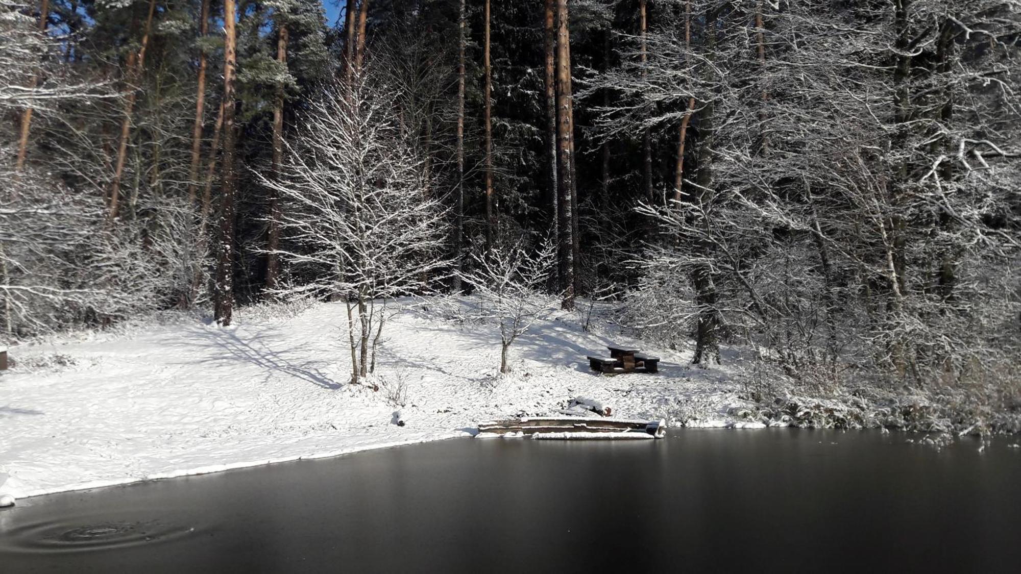 Apartamenty Jezioro I Las Mazury Powalczyn Buitenkant foto