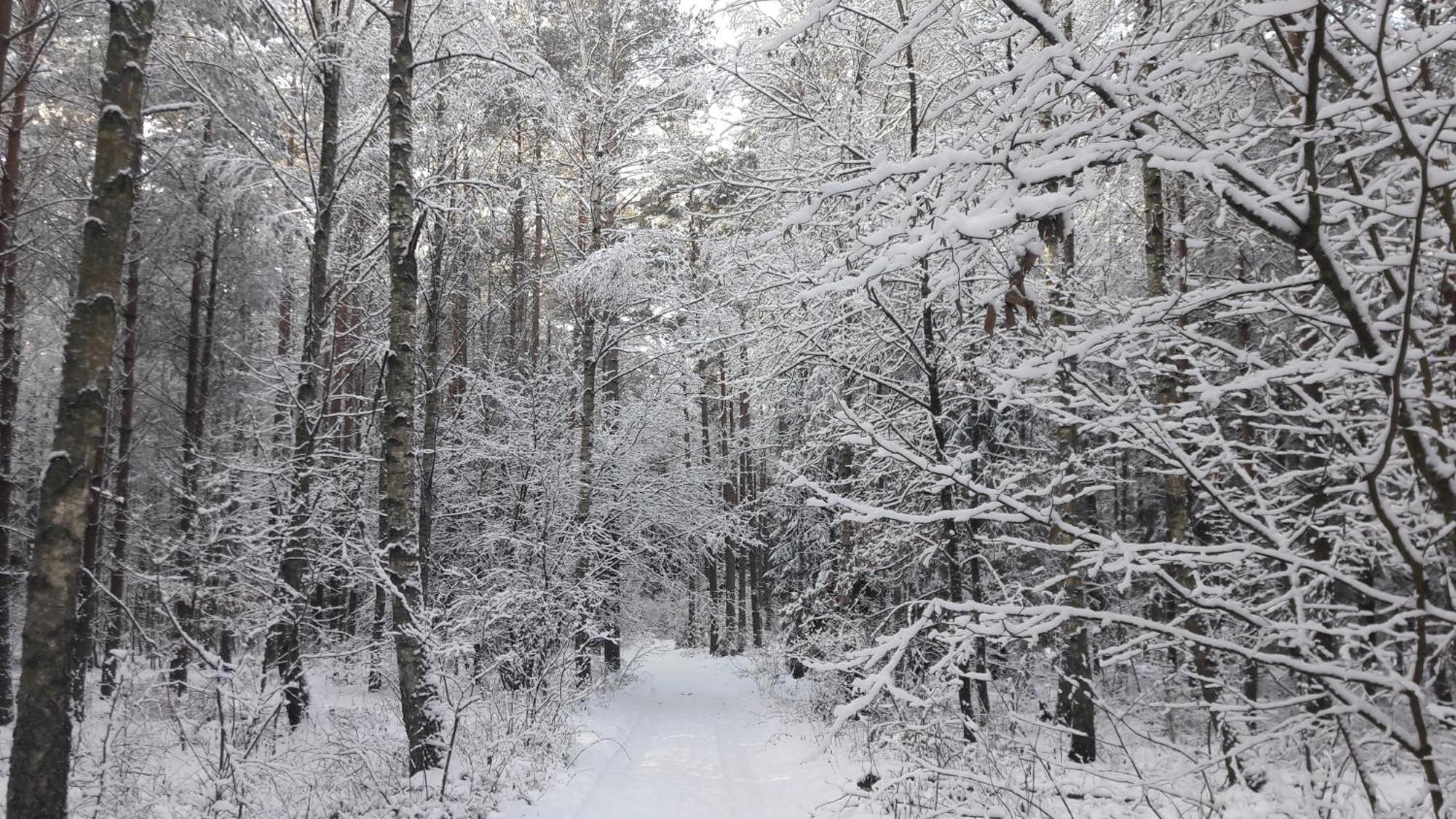 Apartamenty Jezioro I Las Mazury Powalczyn Buitenkant foto