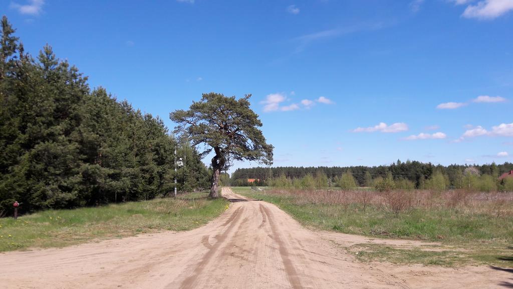 Apartamenty Jezioro I Las Mazury Powalczyn Buitenkant foto